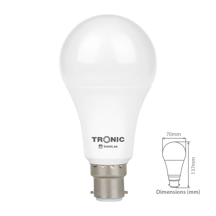 15 Watts LED B22 (Pin) Bulb