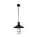 Black Vintage Pendant Glass Cage Light - Tronic Tanzania