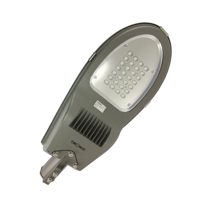 Dark Grey Street Lantern 60 Watts - Tronic Tanzania