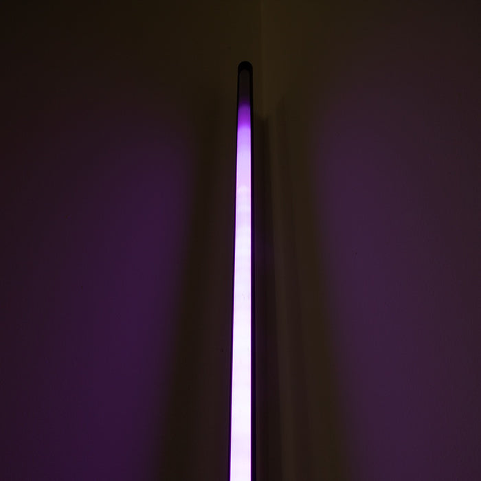 Floor Lamp with Remote